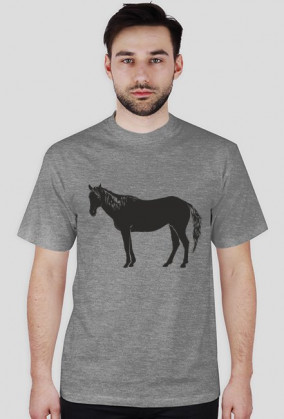 Konik