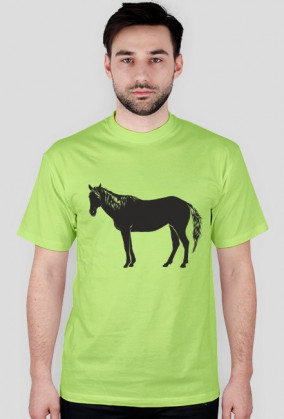 Konik