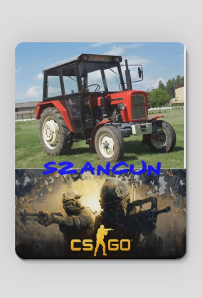 Gaming Profire
