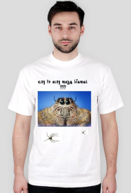 Czy te oczy mogą kłamać ???