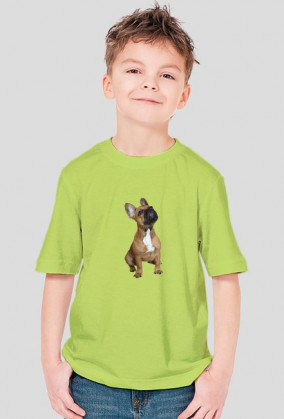 3D Bulldog