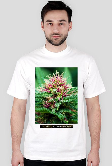 Marihuana Tetrahydrokannabinol