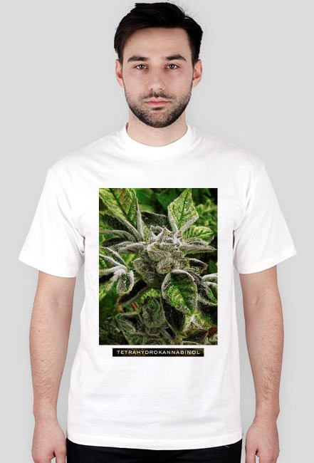 Marihuana Tetrahydrokannabinol 3