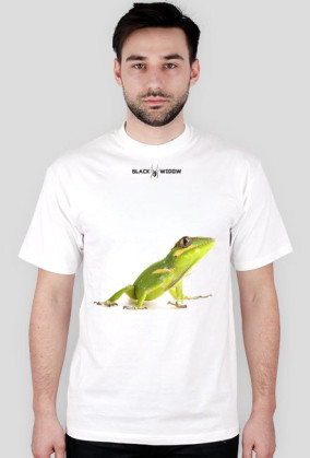 Anolis M1