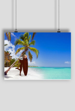 product#2906292
