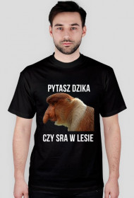 PYTASZ DZIKA