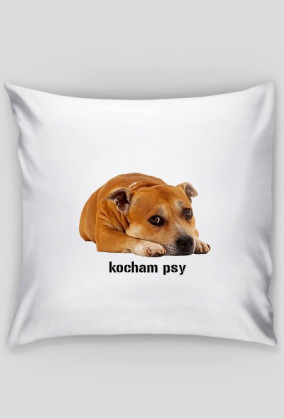 poduszka kocham psy