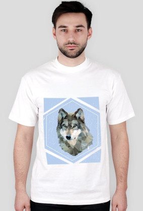 WolfRoom