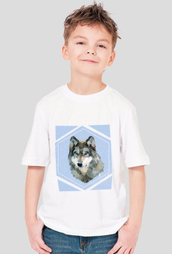 WolfRoom