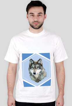 WolfRoom
