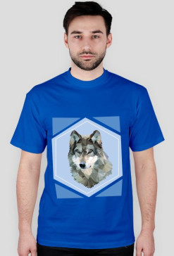 WolfRoom