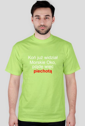 Koszulka męska - spacer do Morskiego Oka