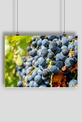 Plakat poziomy