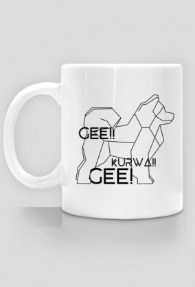 Problemy z kierunkami