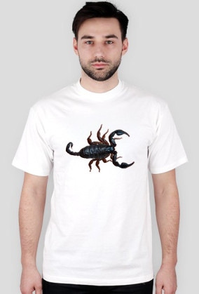 Skorpion