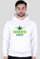 Bluza Weed Now