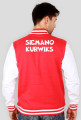Kurwiks