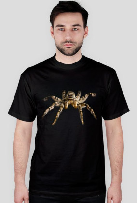 Spider 03 M