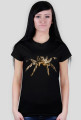 Spider 03 F01