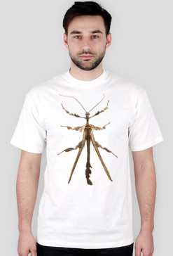 Insect 01M