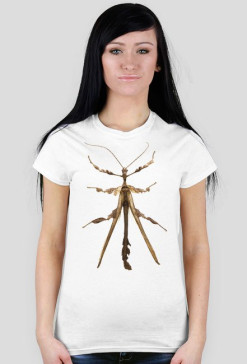 Insect 01F