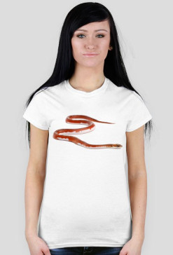 Corn 02F