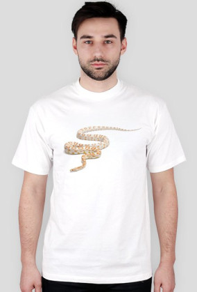 Corn 06M
