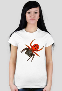 Spider 04F