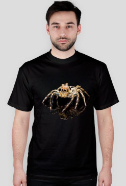 Spider 06M