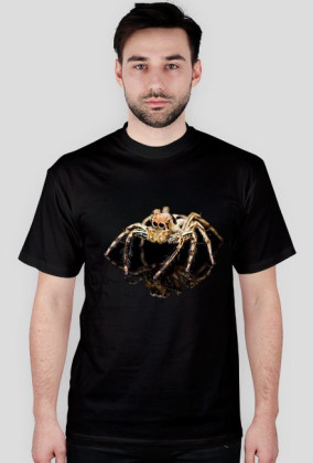 Spider 06M