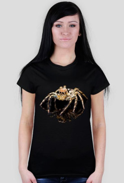 Spider 06F
