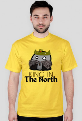 Northball - Countryball