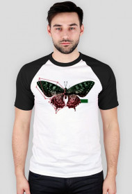 Construct T-shirt Koszulka męska Zwierzęta Motyl