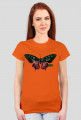 Construct T-shirt Koszulka Bluzka damska Zwierzęta Motyl