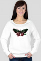 Construct Bluza damska Zwierzęta Motyl