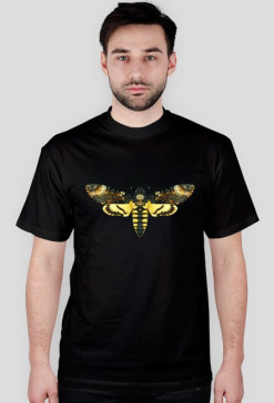 Acherontia atropos MB