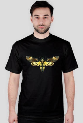 Acherontia atropos MB