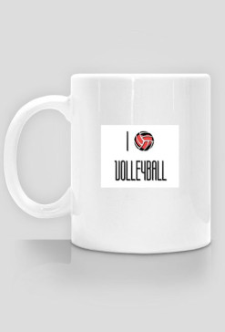 VolleyLove