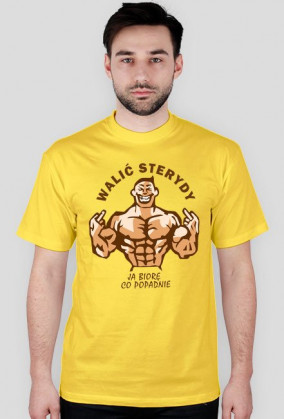 WALIĆ STERYDY