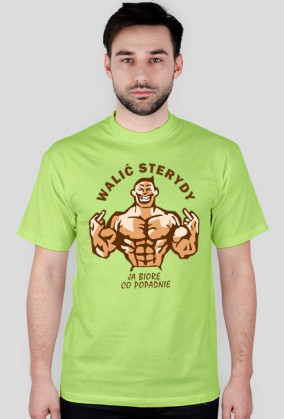 WALIĆ STERYDY