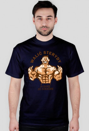 WALIĆ STERYDY