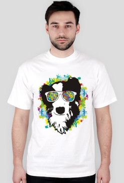 Canis - Colorful