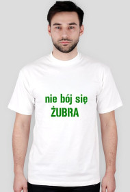 Żubr