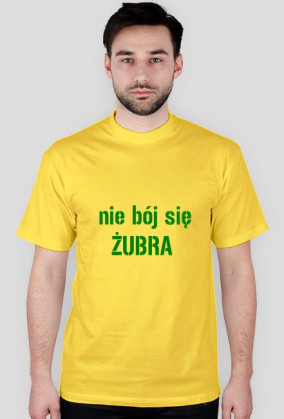 Żubr