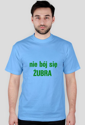Żubr