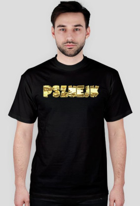 PSZNEJK V.1