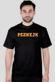 PSZNEJK V.3
