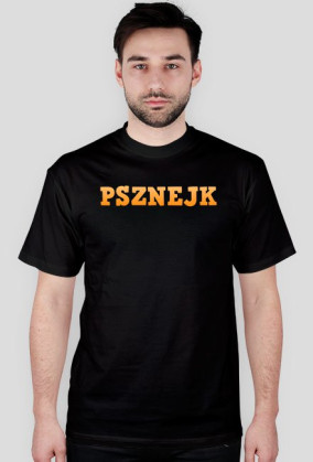 PSZNEJK V.3