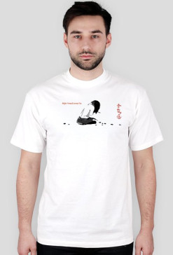 Aikido 7b