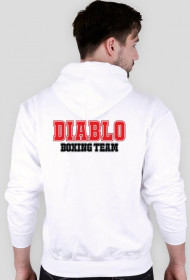 Diablo Hoodie Baseball style